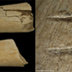 Illustration for article titled Human ancestors carved meat with stone tools almost a million years earlier than expected